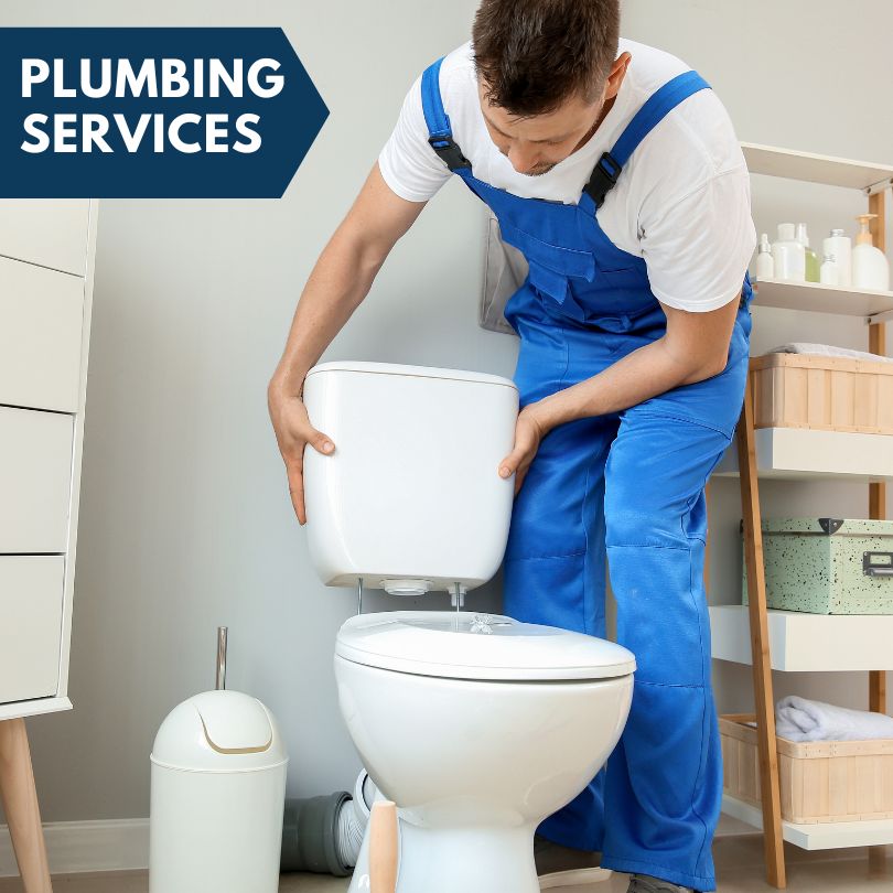 Plumbing Company in Albia, IA