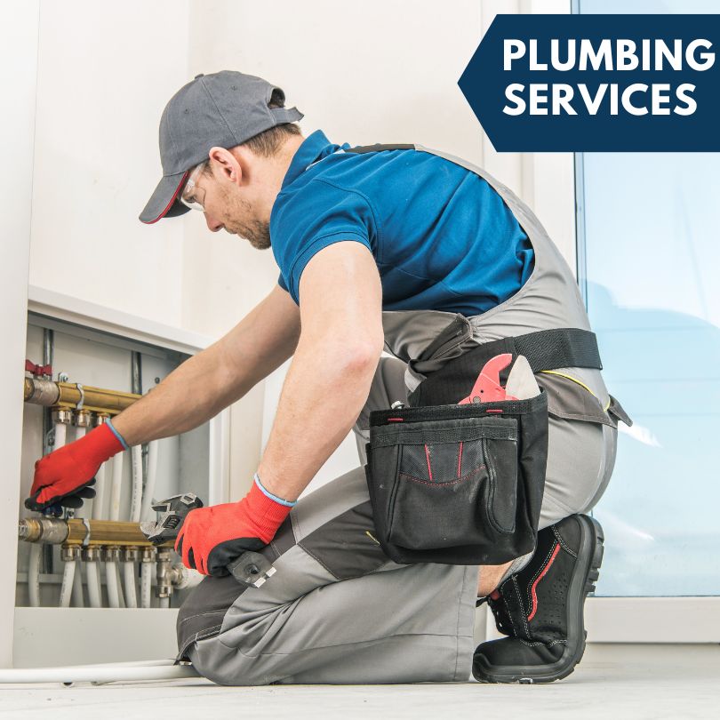 Albia Plumbing Company